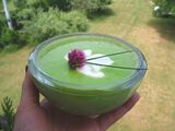 Green Pea Soup-1
