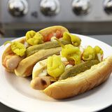 Chicago Dog-1
