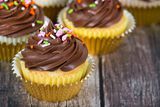 Classic Yellow Cake-1