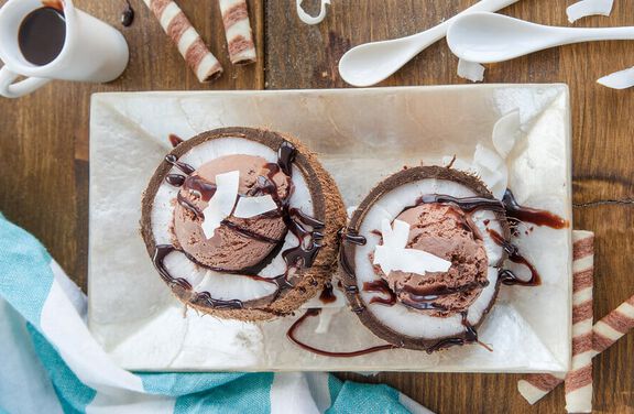 Coconut Chocolate Ice Cream