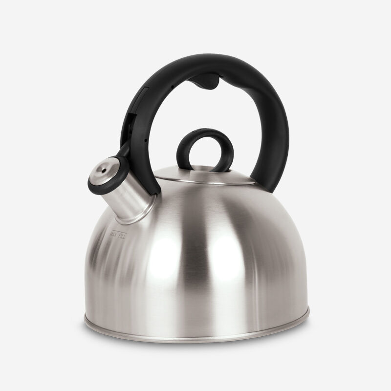 2 Qt. Stainless Steel Tea Kettle