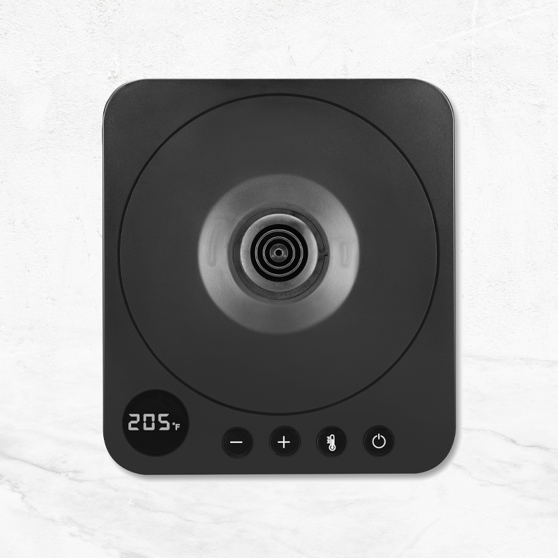 Digital Gooseneck Kettle